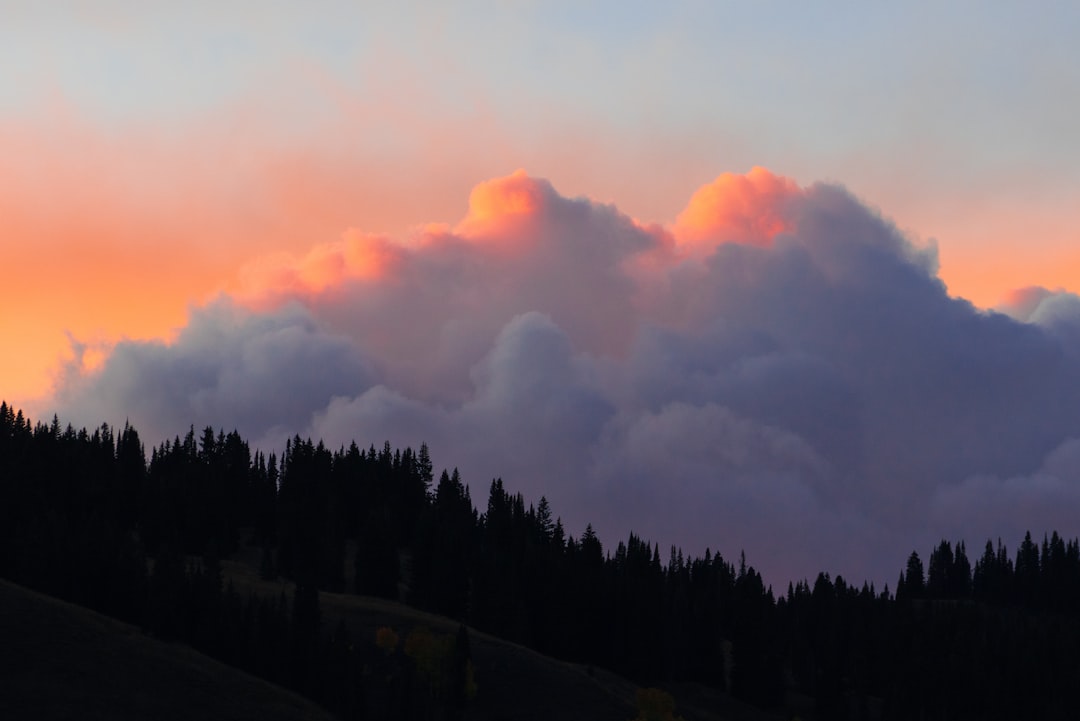 Desvendando os Sonhos com Chuva: Uma Jornada Espiritual e Psicológica no Contexto Brasileiro