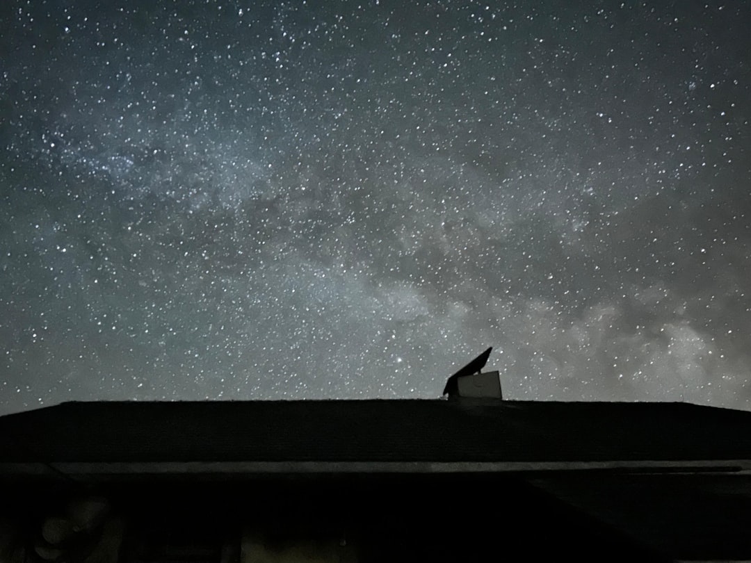 Sonhando com Gatos: Uma Jornada Espiritual e Psicológica nas Raízes do Brasil