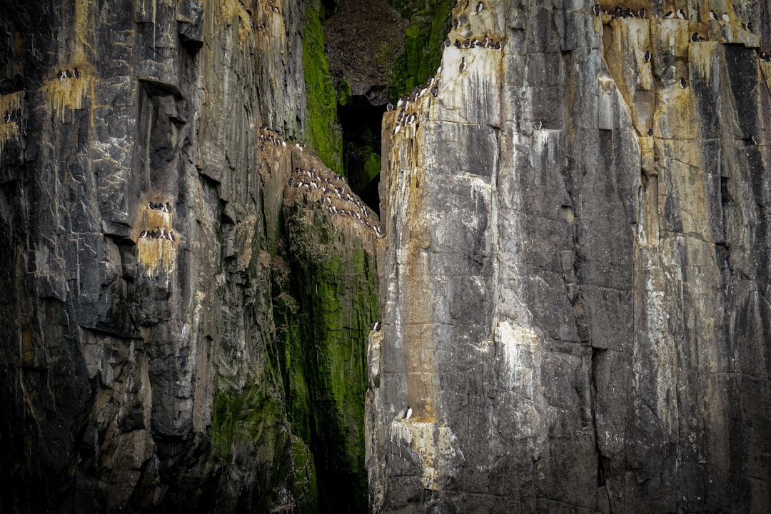 A Queda nos Sonhos: Mensagens Espirituais e Psicológicas na Tradição Brasileira