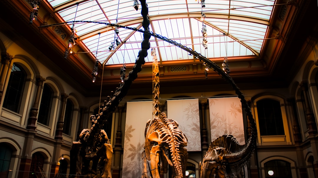 Dinosaur skeletons displayed in a grand museum hall.