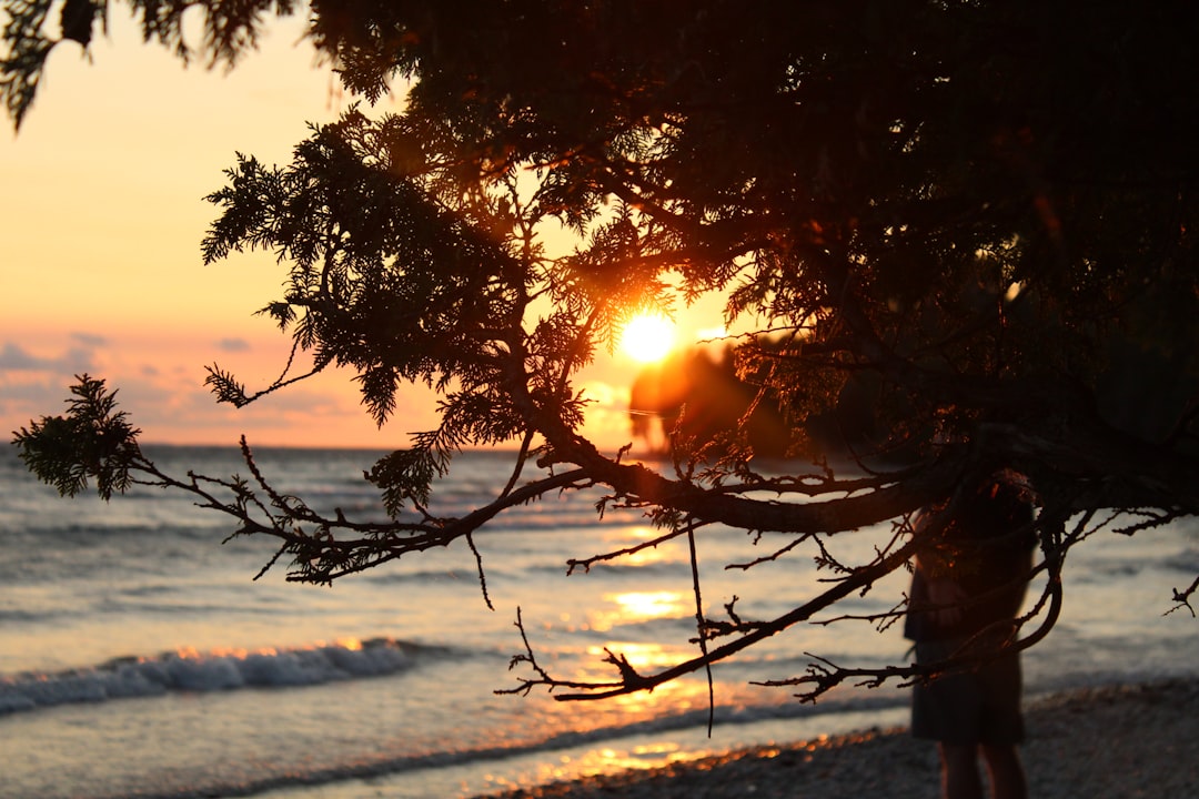 a person standing on a beach next to the ocean
