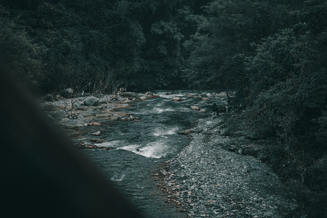 A Profunda Linguagem do Rio em Seus Sonhos: Uma Interpretação à Luz da Espiritualidade Brasileira e da Psicologia