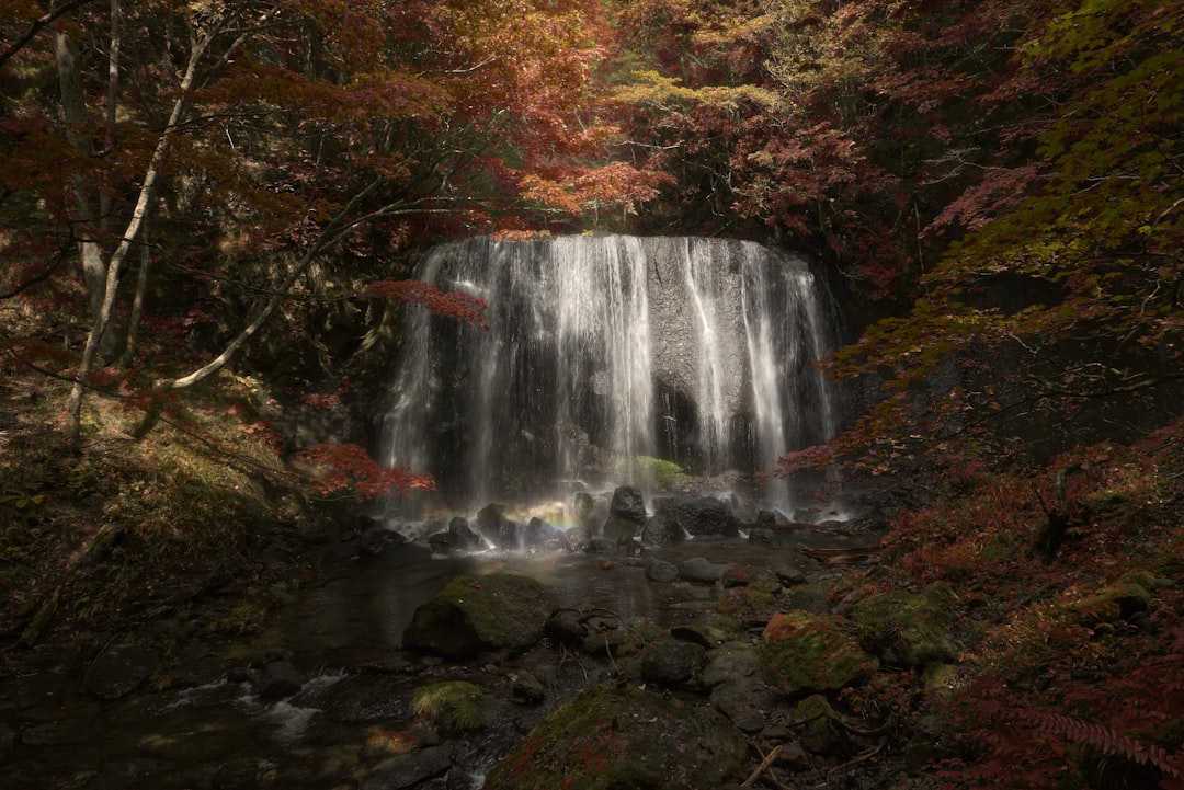 Desvendando seus Sonhos: A Cachoeira como Portal Espiritual na Tradição Brasileira