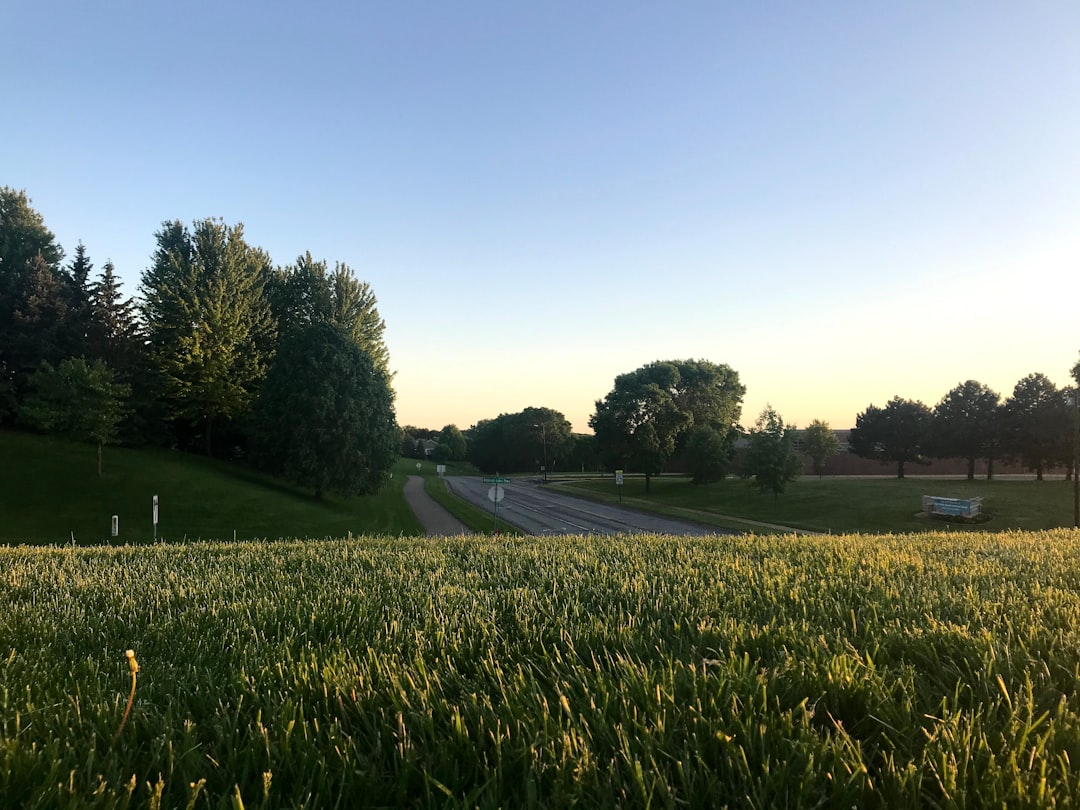a person standing on a lush green field