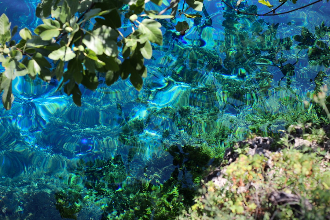 As Águas de Nascente em Seus Sonhos: Uma Jornada de Renovação e Conexão Espiritual sob a Luz do Brasil