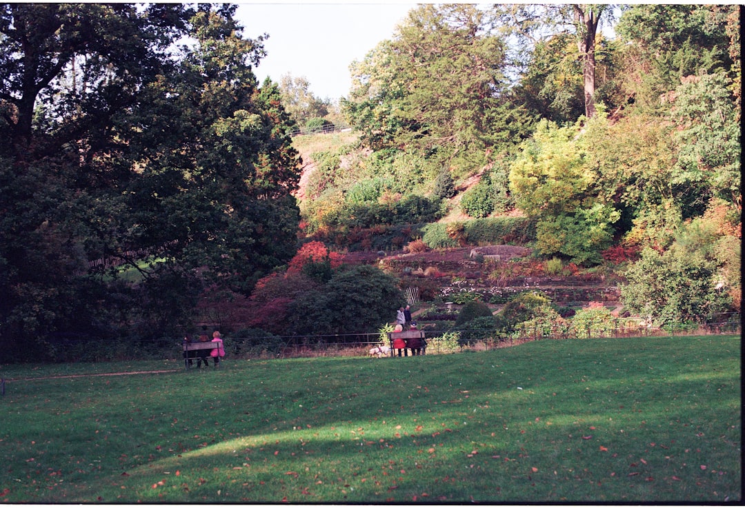 Lush green park with colorful flower beds and trees.