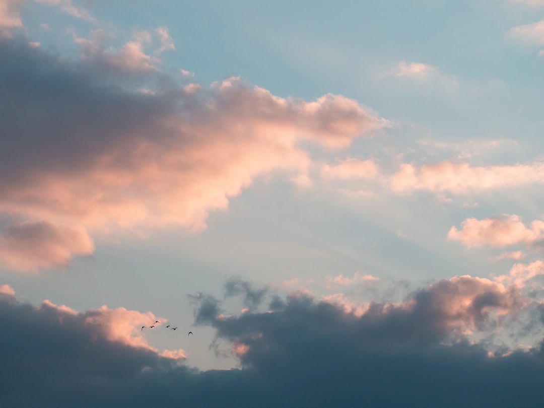 Soft pink and blue clouds in the sky