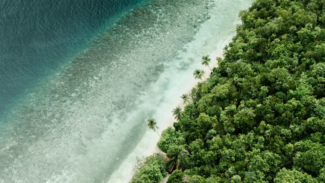Aerial view of a lush green island meeting the ocean