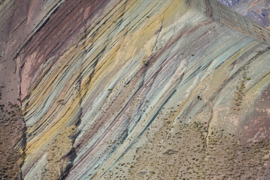 O Sonho da Lhama: Mensagens de Sabedoria, Cura e a Força dos Orixás no Contexto Brasileiro