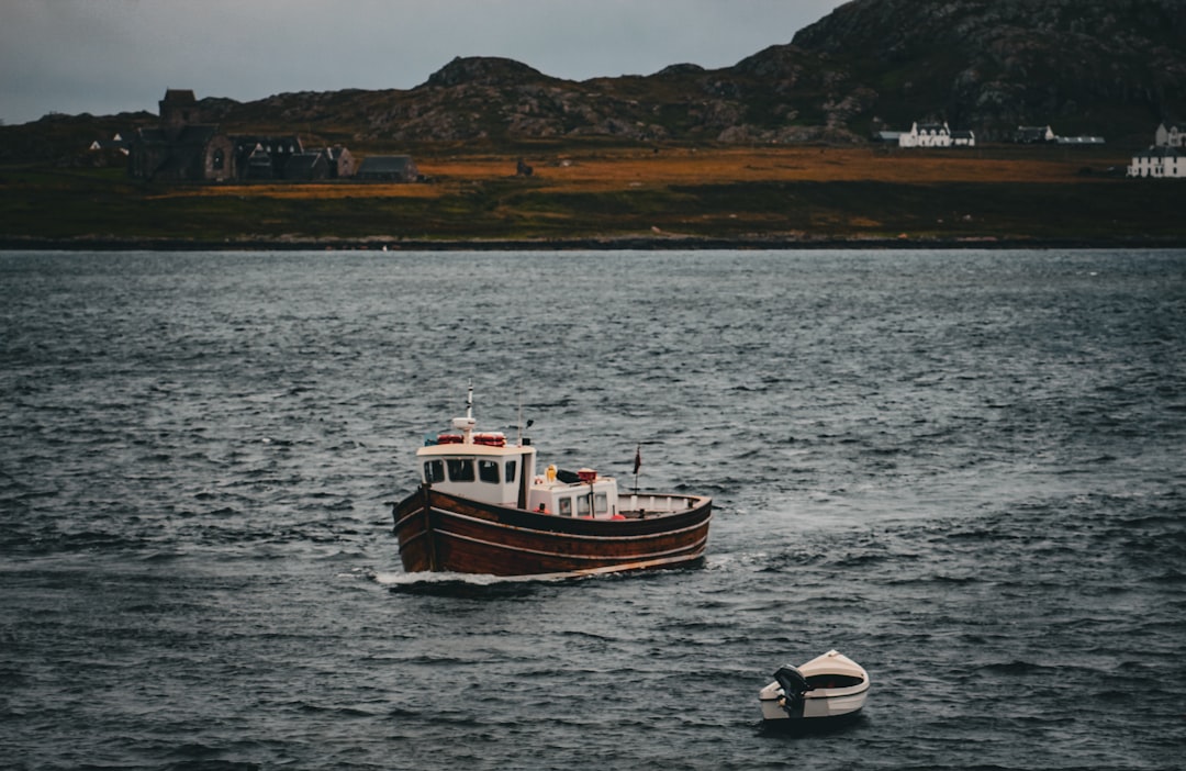 O Sonho com Foca: Uma Mensagem do Mar, da Terra e do Espírito